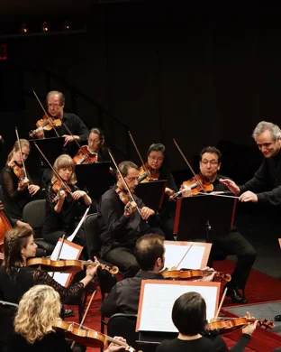 Tanglewood Recital Series