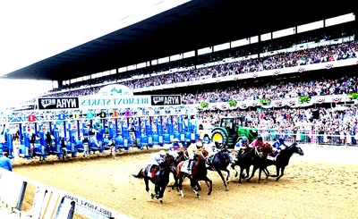 Belmont Stakes