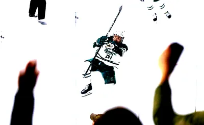 Dartmouth Big Green Hockey