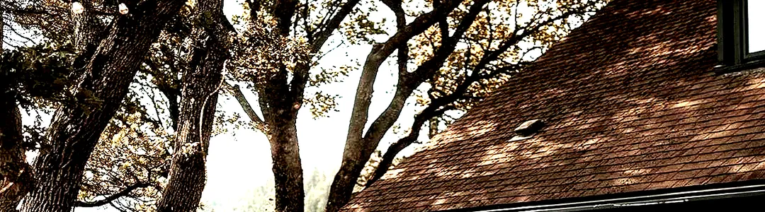 Griffin House