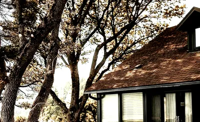 Griffin House