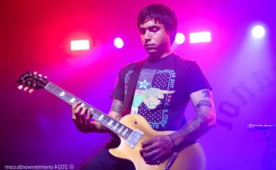 Joyce Manor
