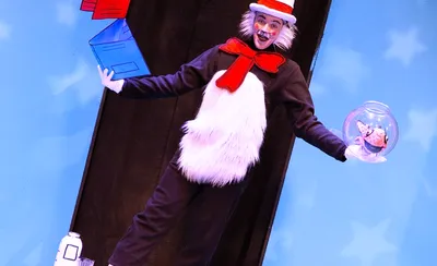The Cat In The Hat