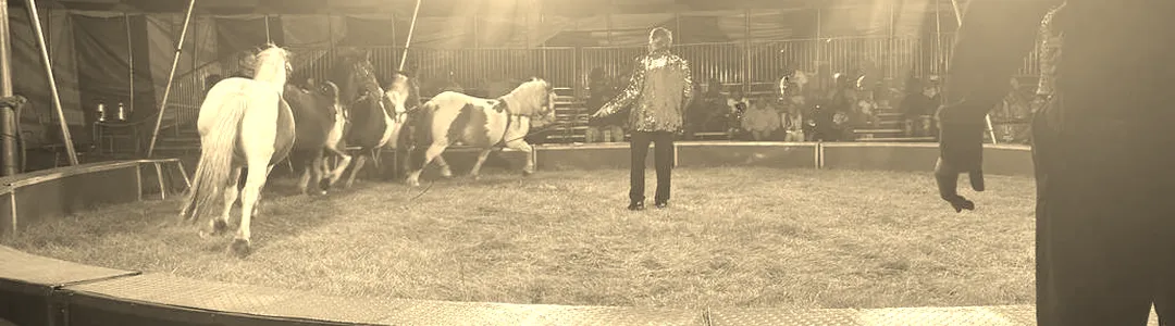 Zerbini Family Circus