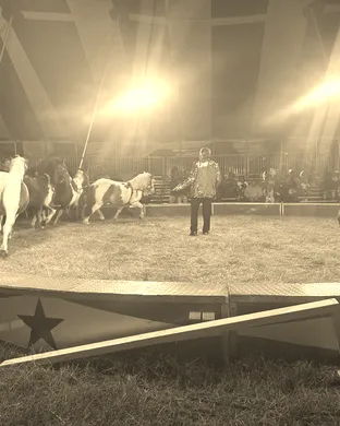 Zerbini Family Circus