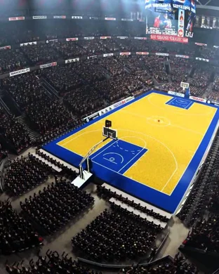 New York Phoenix vs. Flying Cows