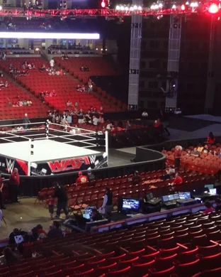 Pro Wrestling